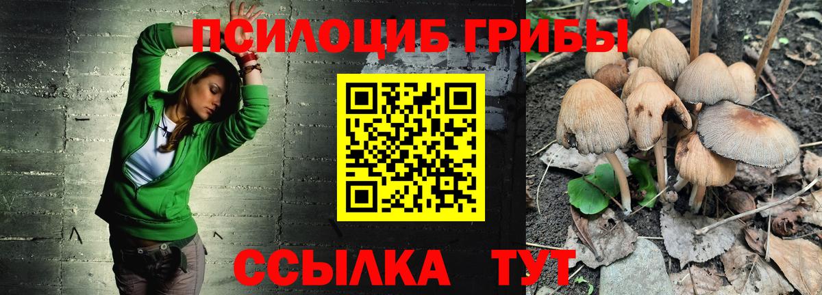 Псилоцибиновые грибы Psilocybe Йошкар-Ола